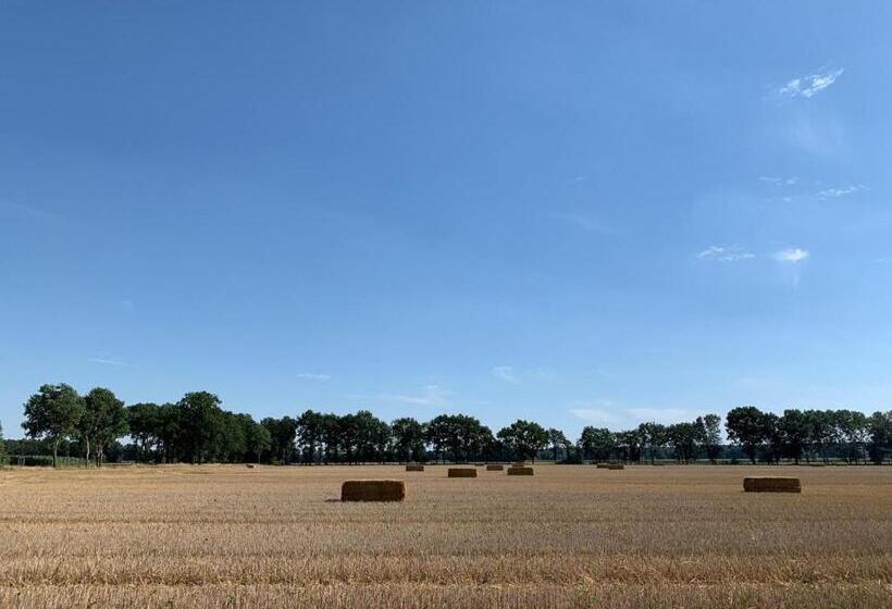 Отель Okelmann S Entspannte Achtsamkeit Bewusster Lifestyle