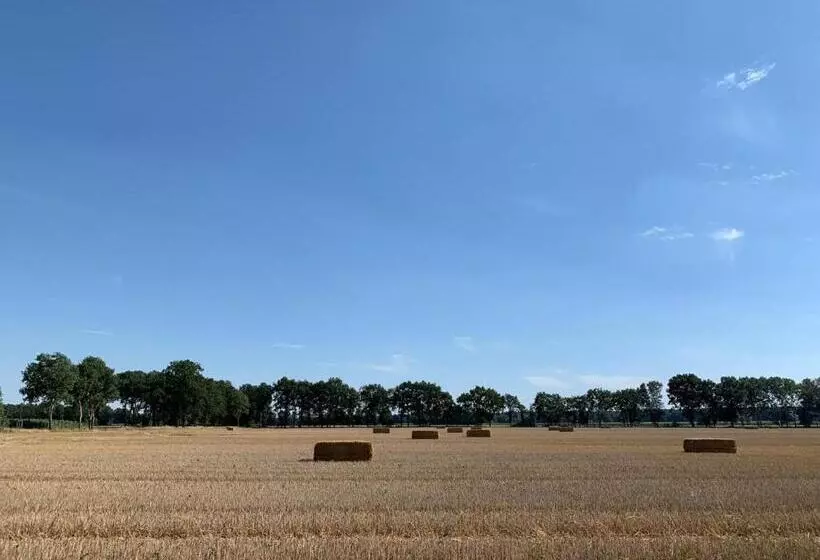 Hotelli Okelmann S   Entspannte Achtsamkeit   Bewusster Lifestyle