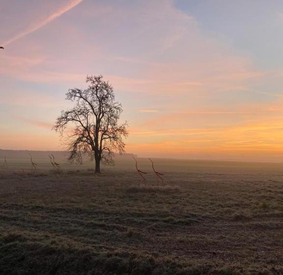 Отель Okelmann S Entspannte Achtsamkeit Bewusster Lifestyle