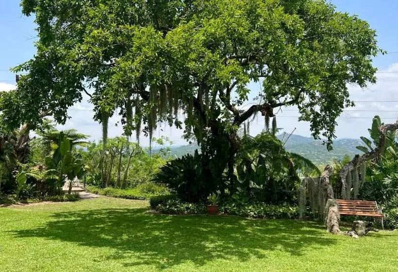 Loerieroep Estate Mountainview Selfcatering Accommodation Nelspruit