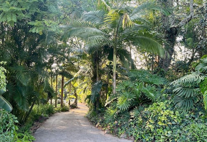 Loerieroep Estate   Mountainview Selfcatering Accommodation Nelspruit