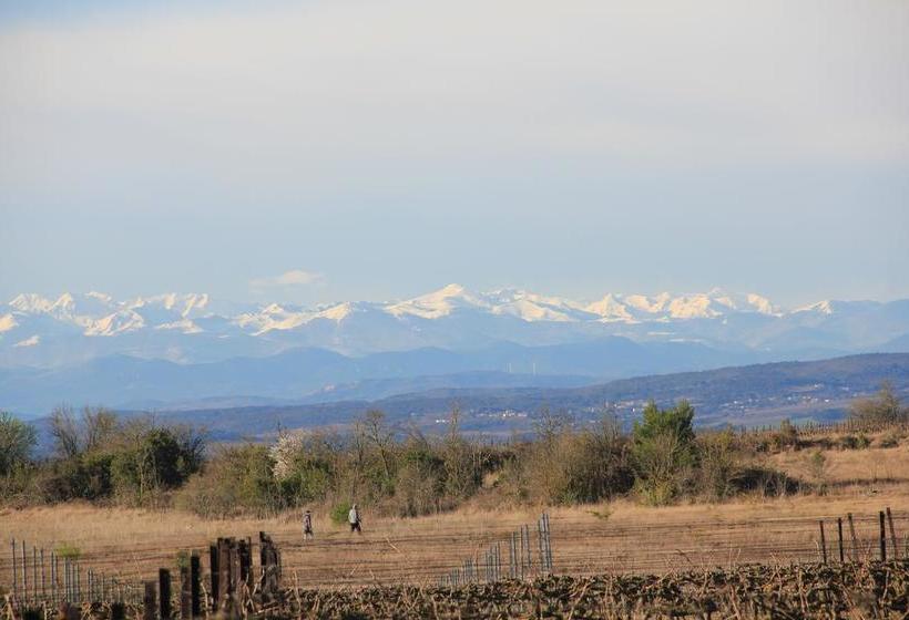 O'vineyards B&b Carcassonne