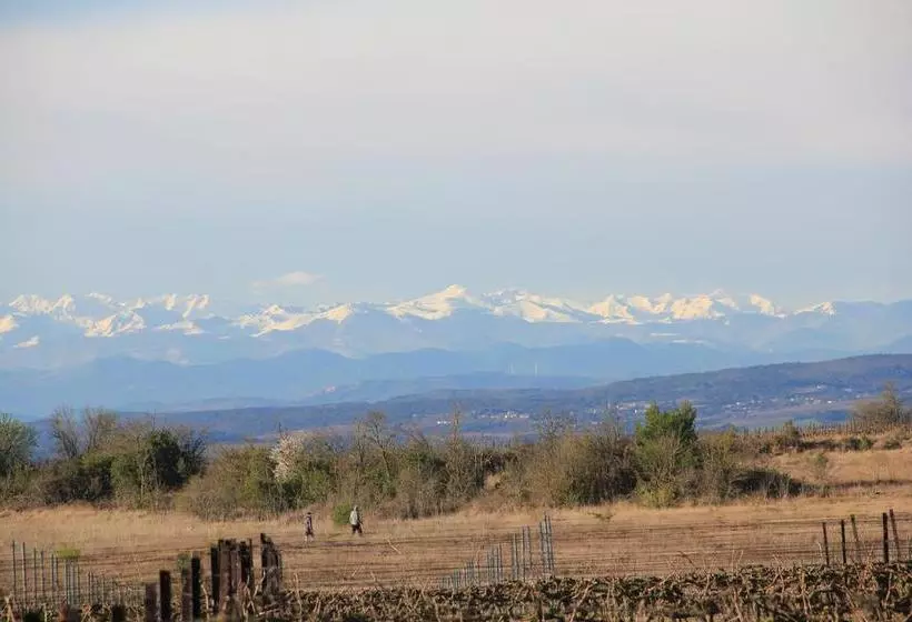 O'vineyards B&b Carcassonne