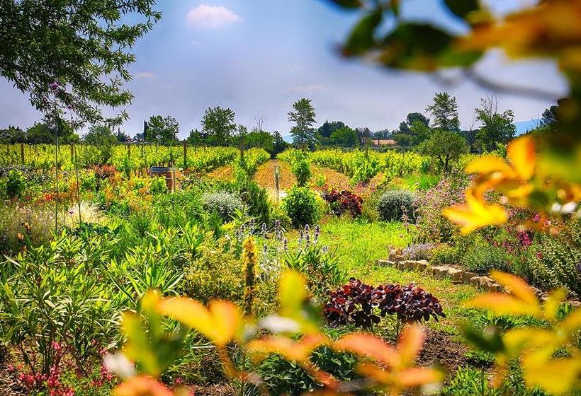 O'vineyards B&b Carcassonne