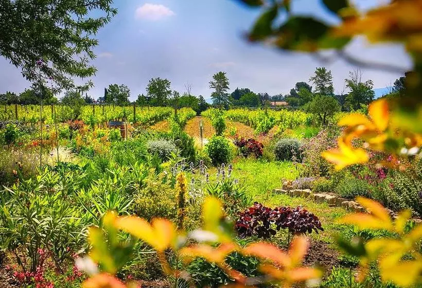 O'vineyards B&b Carcassonne