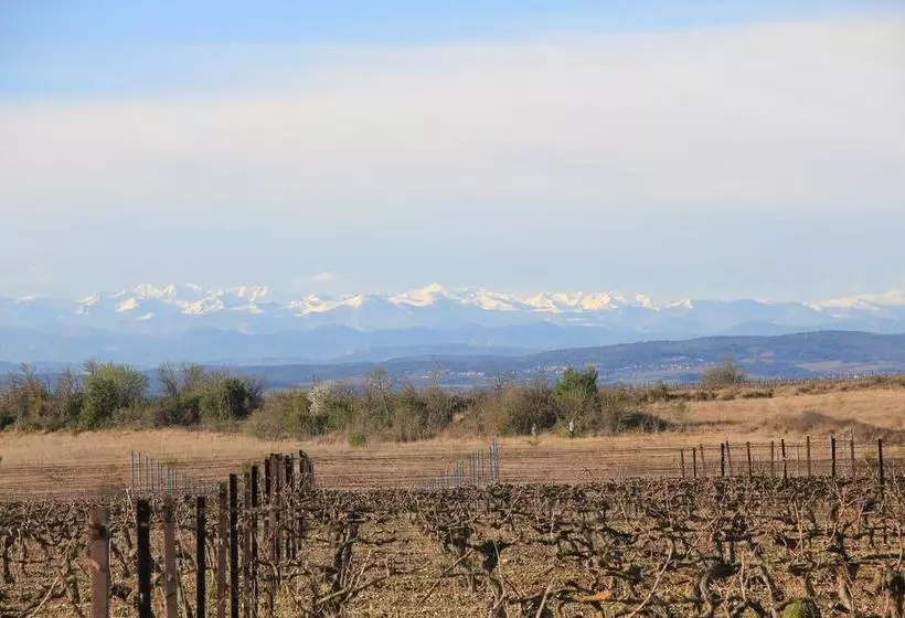 O'vineyards B&b Carcassonne