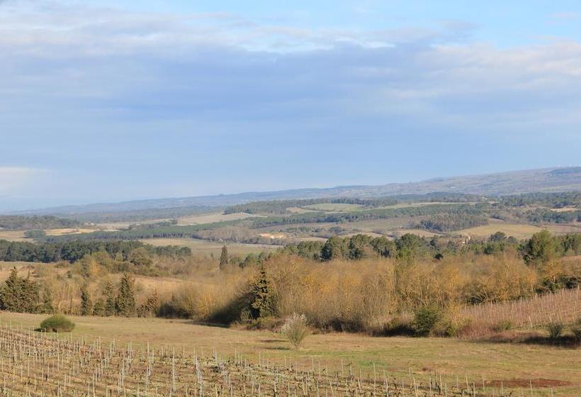 O'vineyards B&b Carcassonne