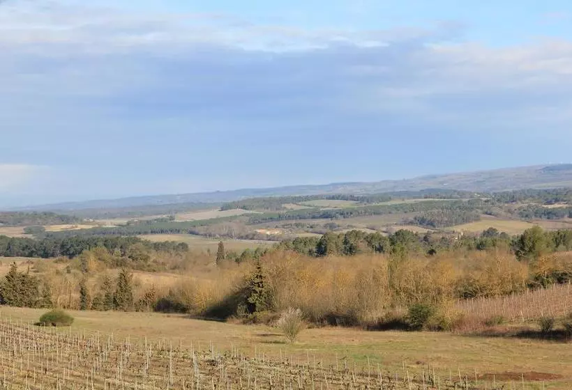 O'vineyards B&b Carcassonne