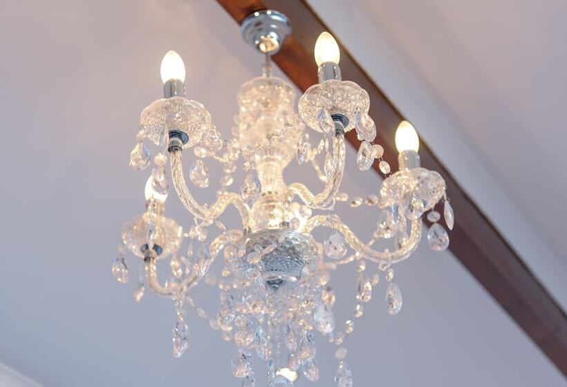 ペンション Senate Boutique Guest House