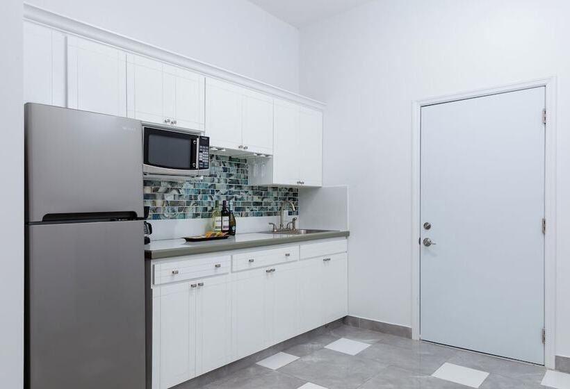 هتل The Suites At Mr Grouper