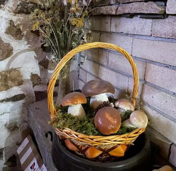 ペンション музикалната къща