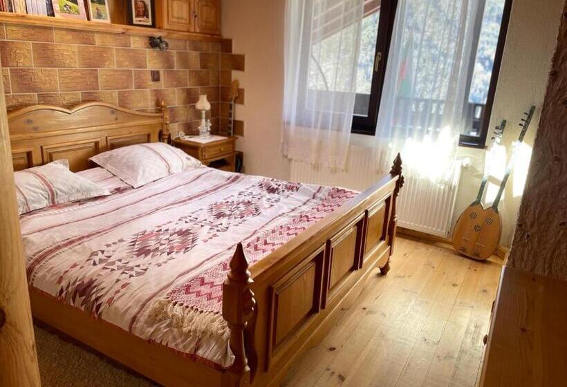 بنسيون музикалната къща