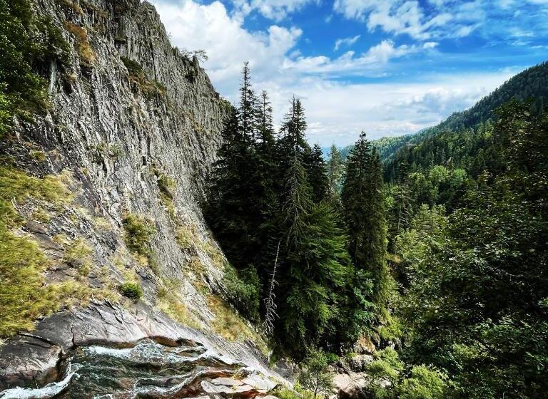 بنسيون музикалната къща