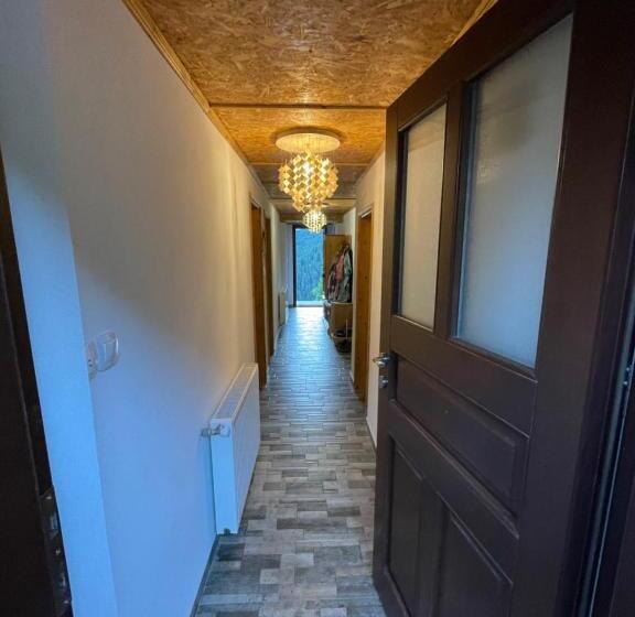 بنسيون музикалната къща