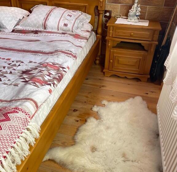 بنسيون музикалната къща