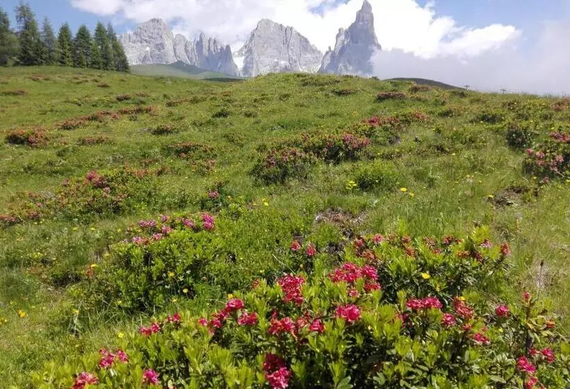 Majatalo Affittacamere Villa Sole