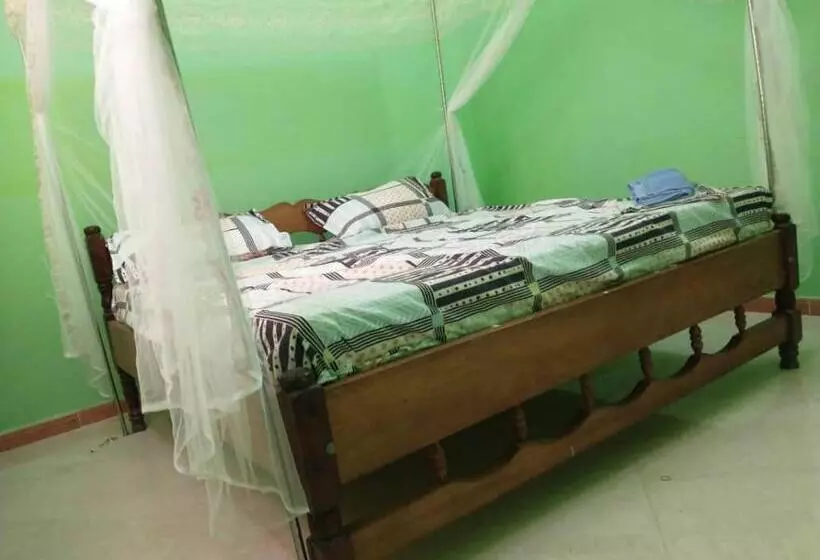 پانسیون Mkoani Guest House