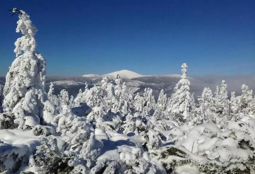 Majatalo Penzion Modrý Pavilon