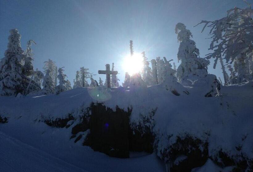 膳宿费 Penzion Modrý Pavilon