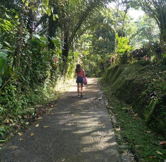 ペンション Purana Guest House