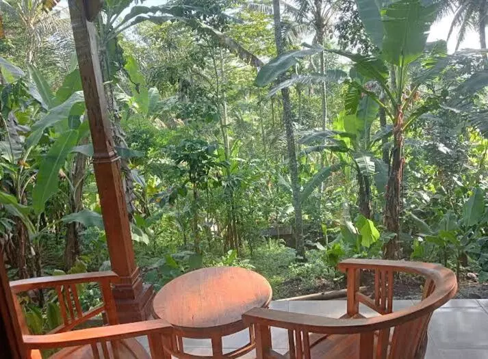 پانسیون Purana Guest House