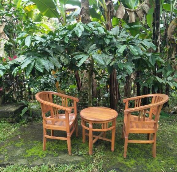 ペンション Purana Guest House