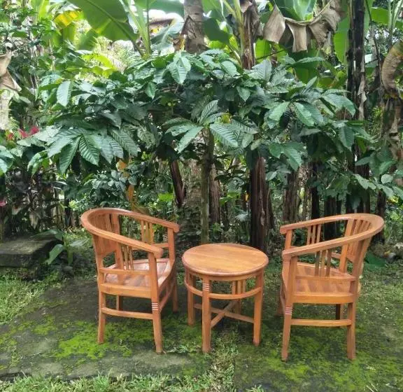 پانسیون Purana Guest House