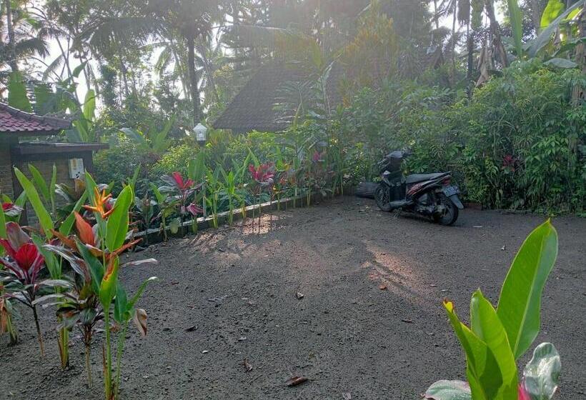 ペンション Purana Guest House