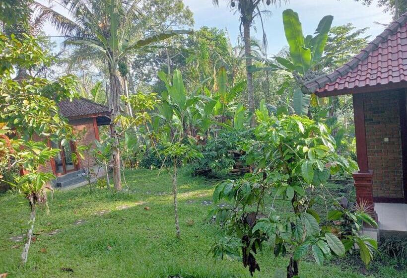 ペンション Purana Guest House