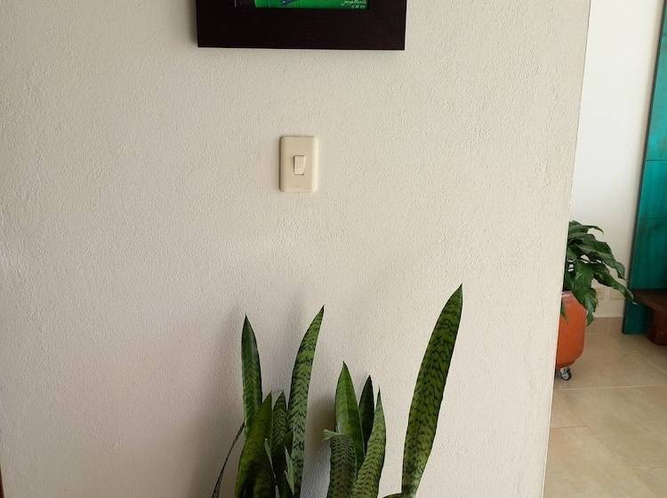 Pension Wayra Natura