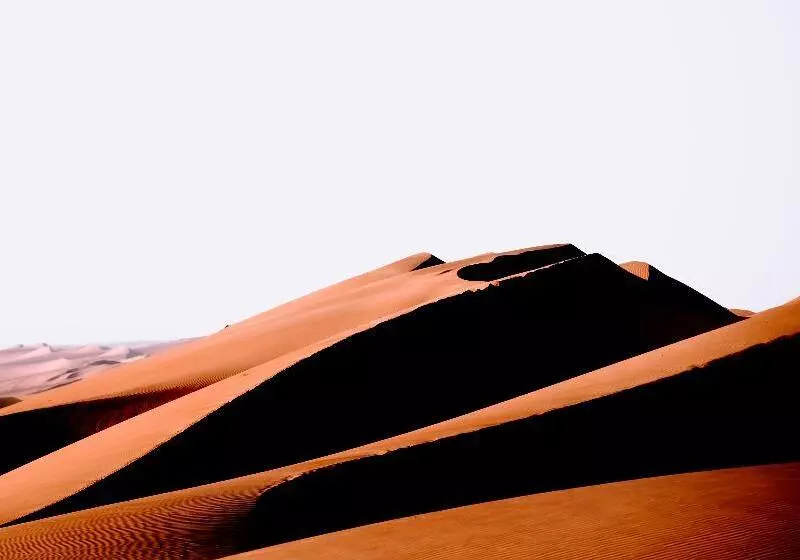 هتل Desert Rose Camp