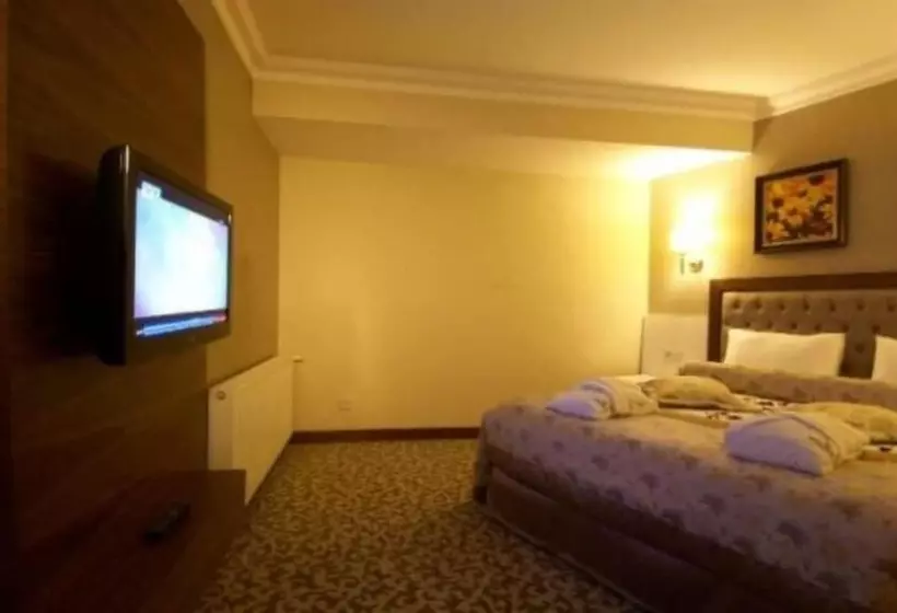 ホテル Safran Thermal Resort Spa & Conveention