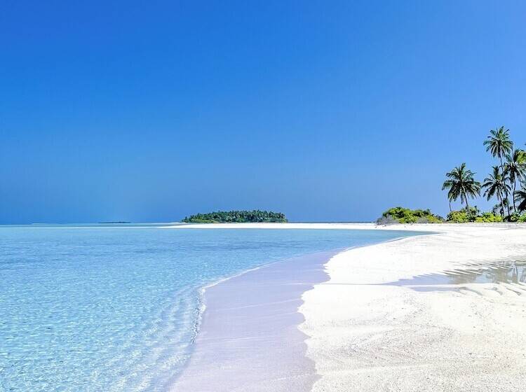 پانسیون Hide Inn Blue