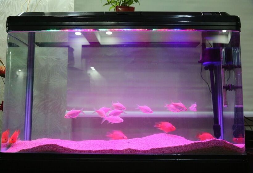 Bangalore Airport Inn