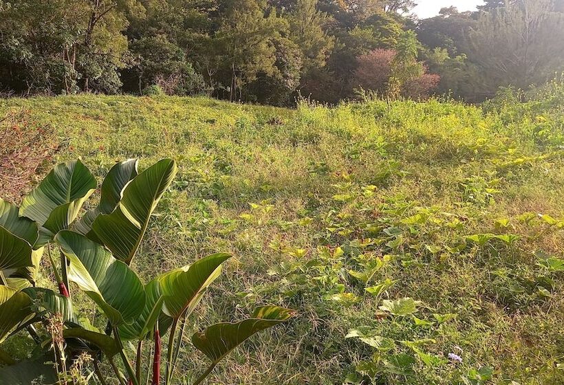 צימר Finca Panthera