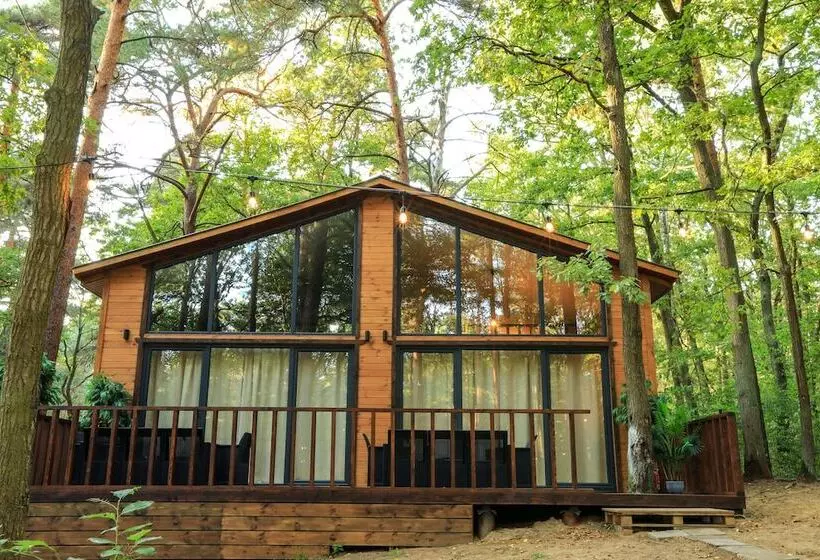 ホテル Bizon Village