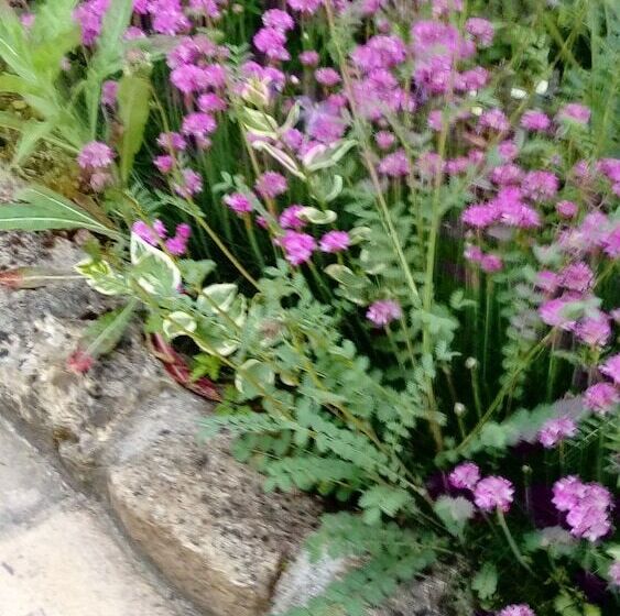 Bed and Breakfast Chambres D Hôtes Le Bourdieu