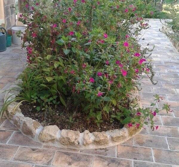 Bed and Breakfast Chambres D Hôtes Le Bourdieu