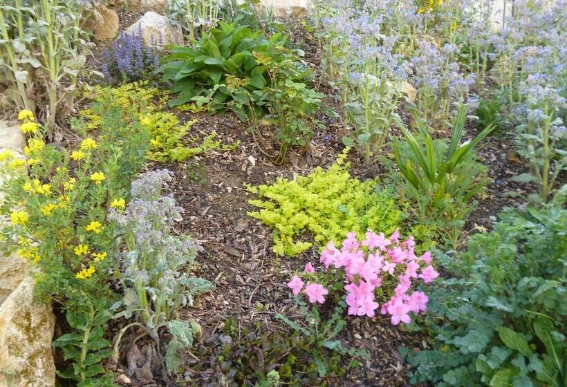 Bed and Breakfast Chambres D Hôtes Le Bourdieu