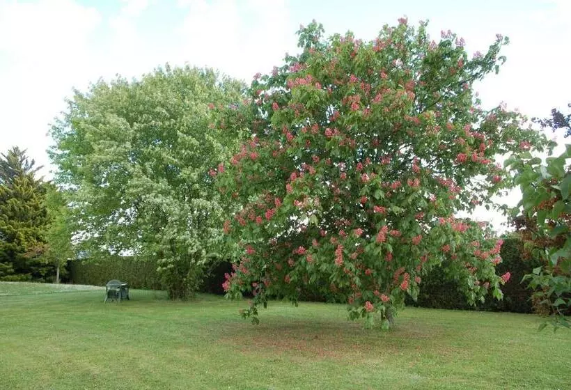 ベッドアンドブレックファースト Chambres D'hôtes Les Coquelicots