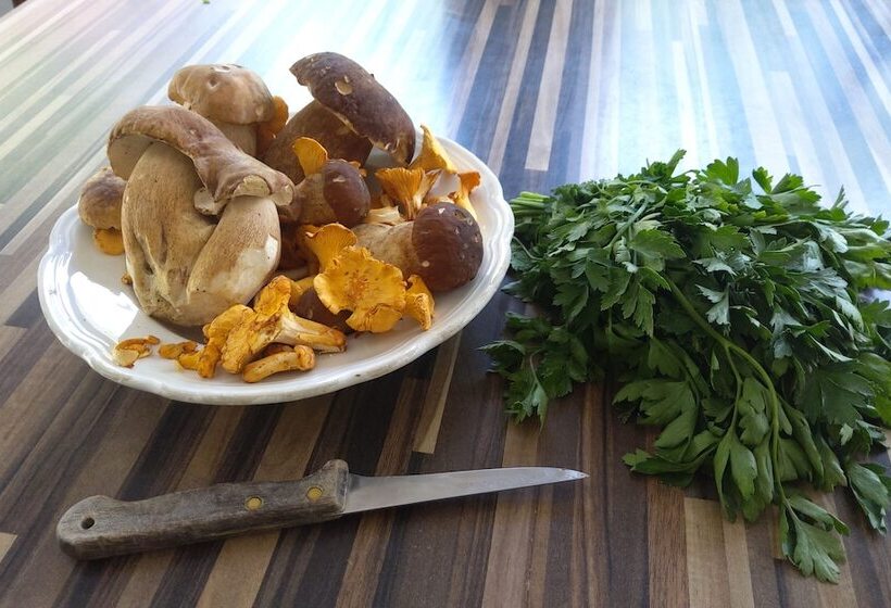 צימר Maison Sous Les étoiles