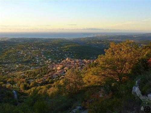 住宿加早餐  The Frogs  House   Yoga Retreat