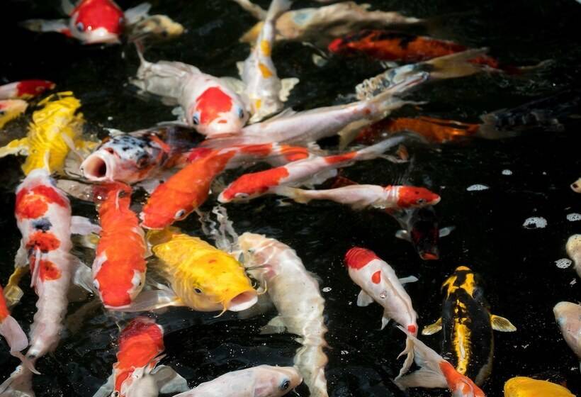 Arsela Hotel Pangkalan Bun