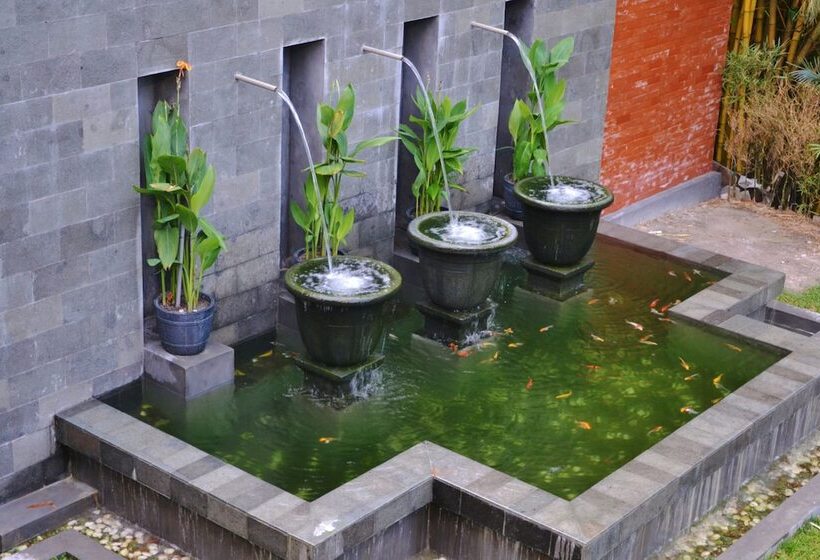 Arsela Hotel Pangkalan Bun