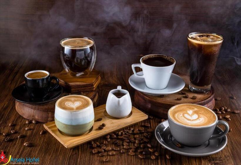 Arsela Hotel Pangkalan Bun