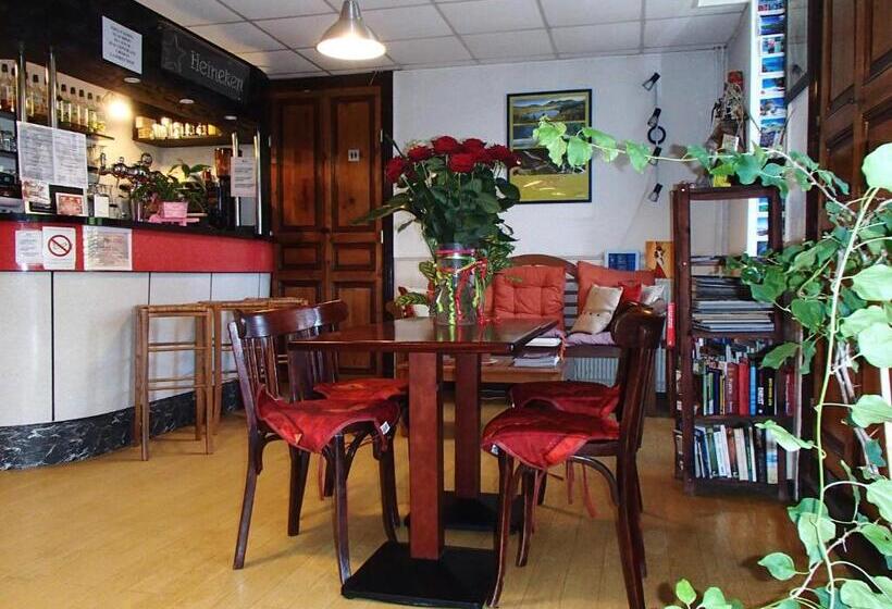 酒店 Hôtel Restaurant De L île