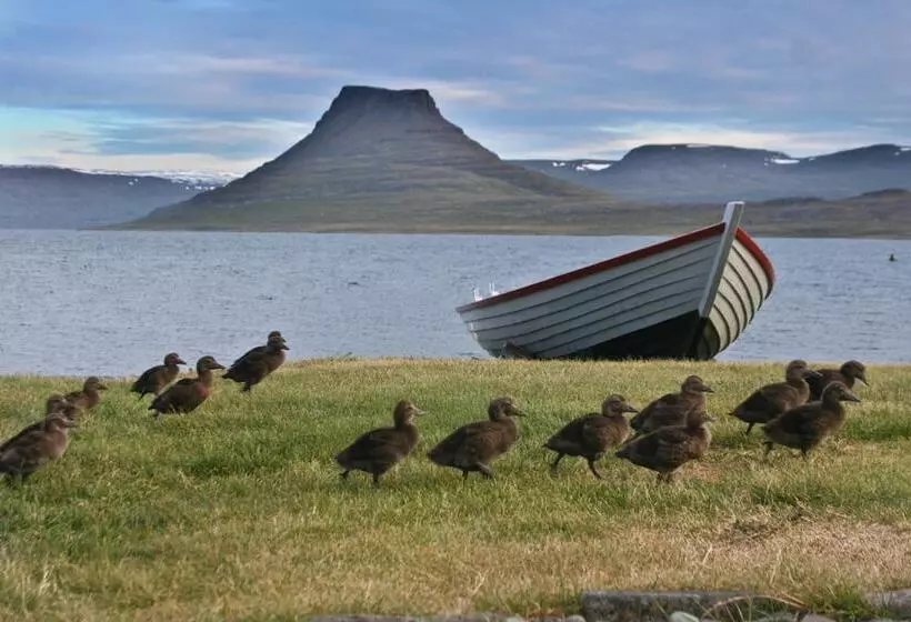 هتل Isafjordur  Horn