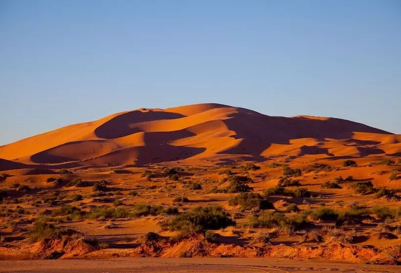ホテル Kam Kam Dunes