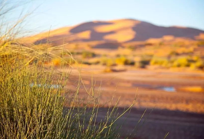 ホテル Kam Kam Dunes