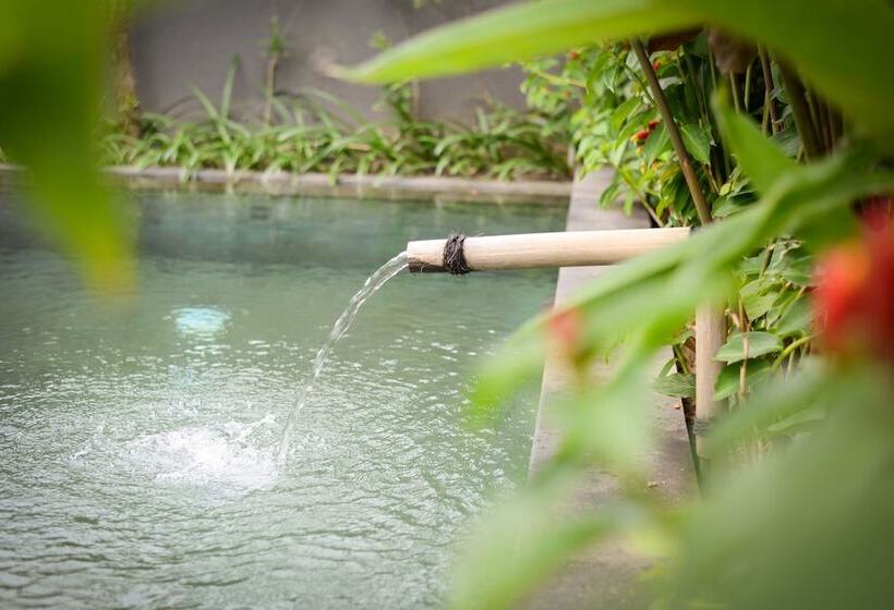 ホテル Purana Boutique Resort